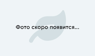 Хоста "Carnival"