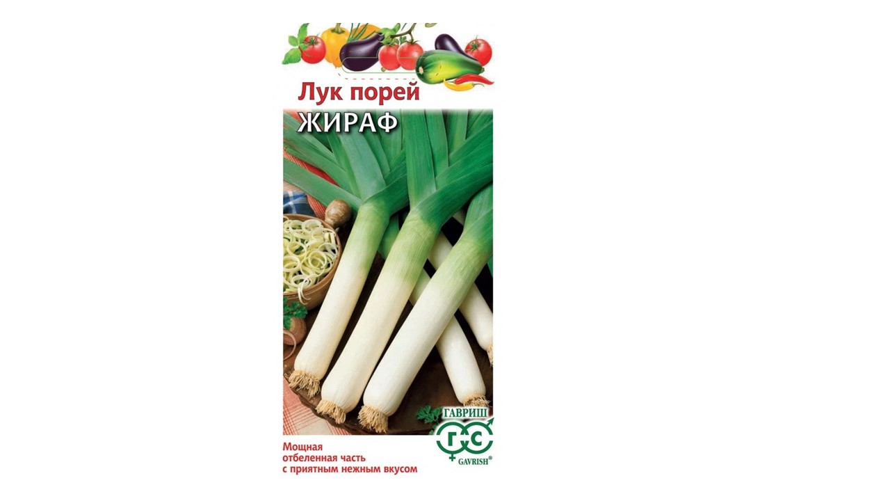 Лук порей "Жираф" Лук порей "Жираф"
