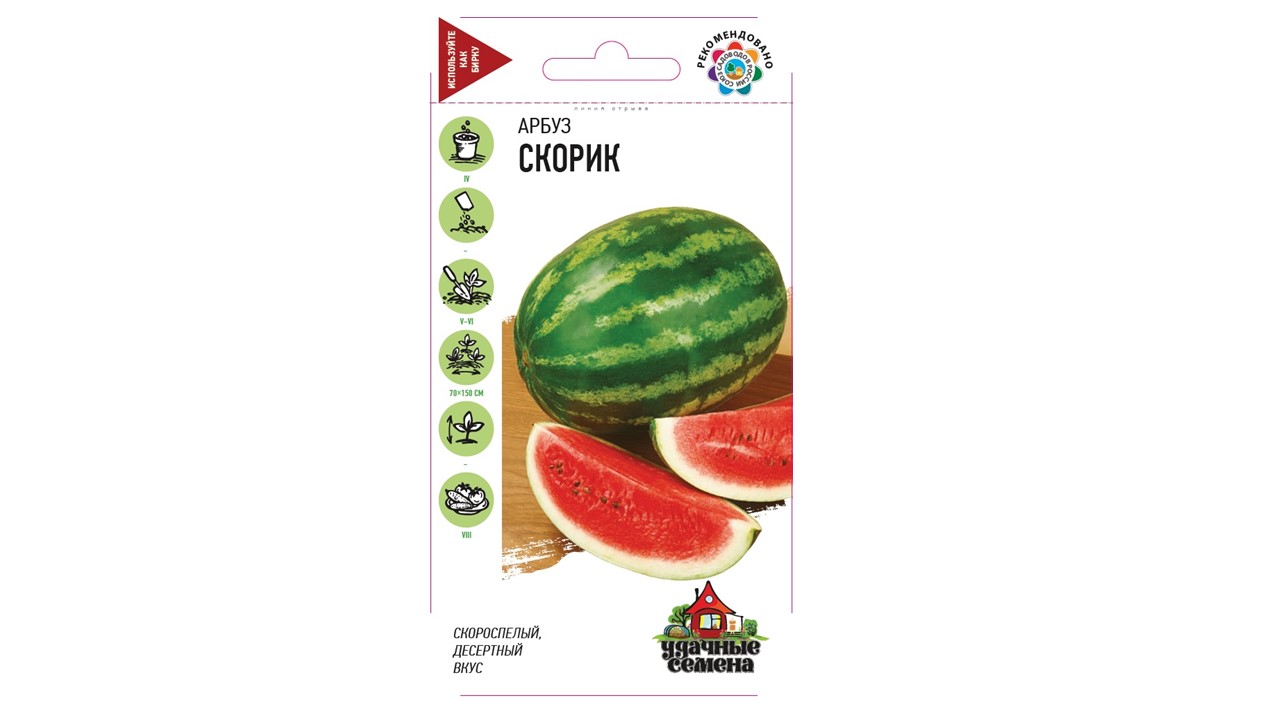 Арбуз "Скорик" Арбуз "Скорик"