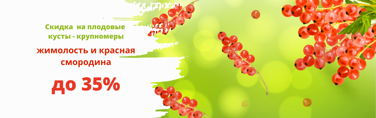 Banner Магазин Семена И Саженцы Banner Магазин Семена И Саженцы