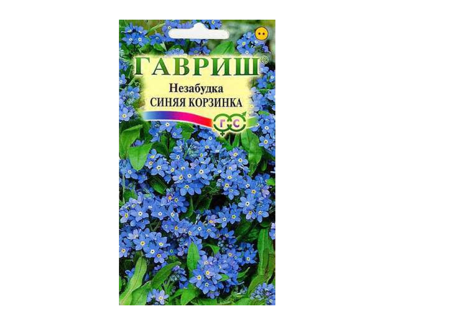Незабудка "Синяя корзинка" Незабудка "Синяя корзинка"