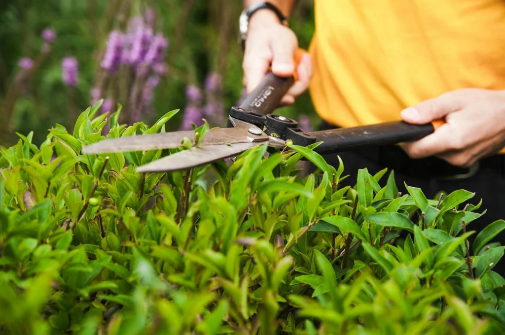 Уход за садом Уход за садом