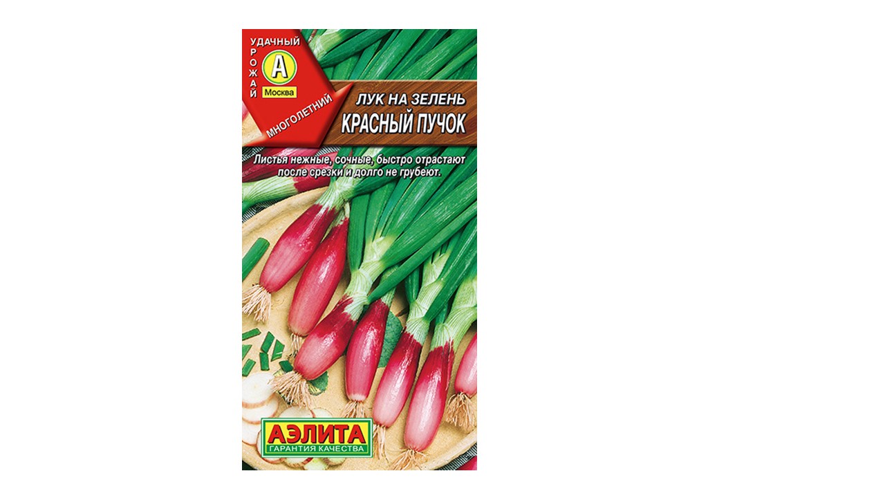 Лук на зелень "Красный пучок" Лук на зелень "Красный пучок"