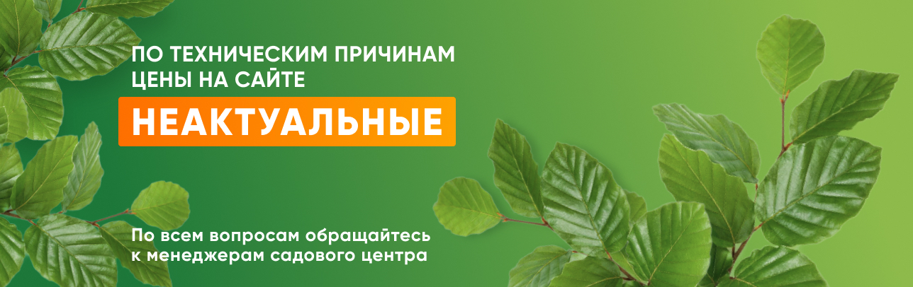 тех работы