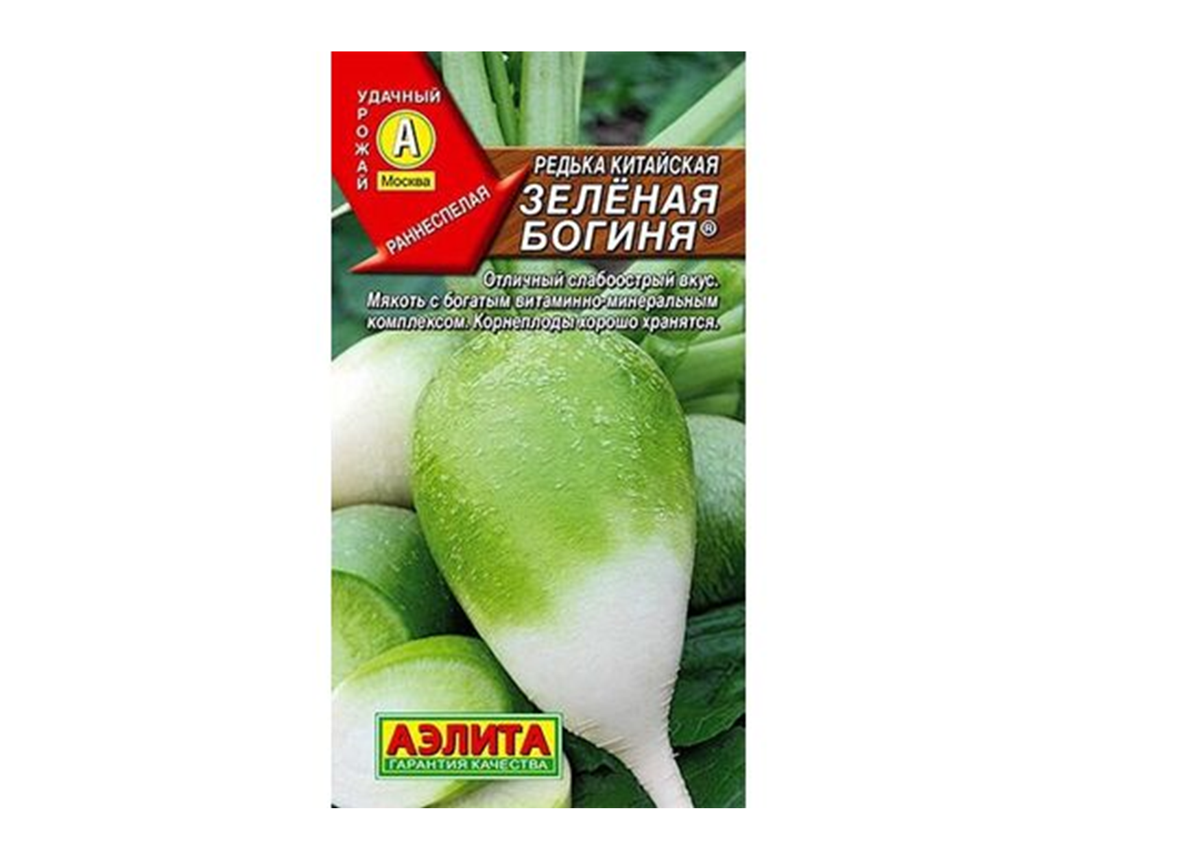 Редька китайская "Зеленая богиня" Редька китайская "Зеленая богиня"