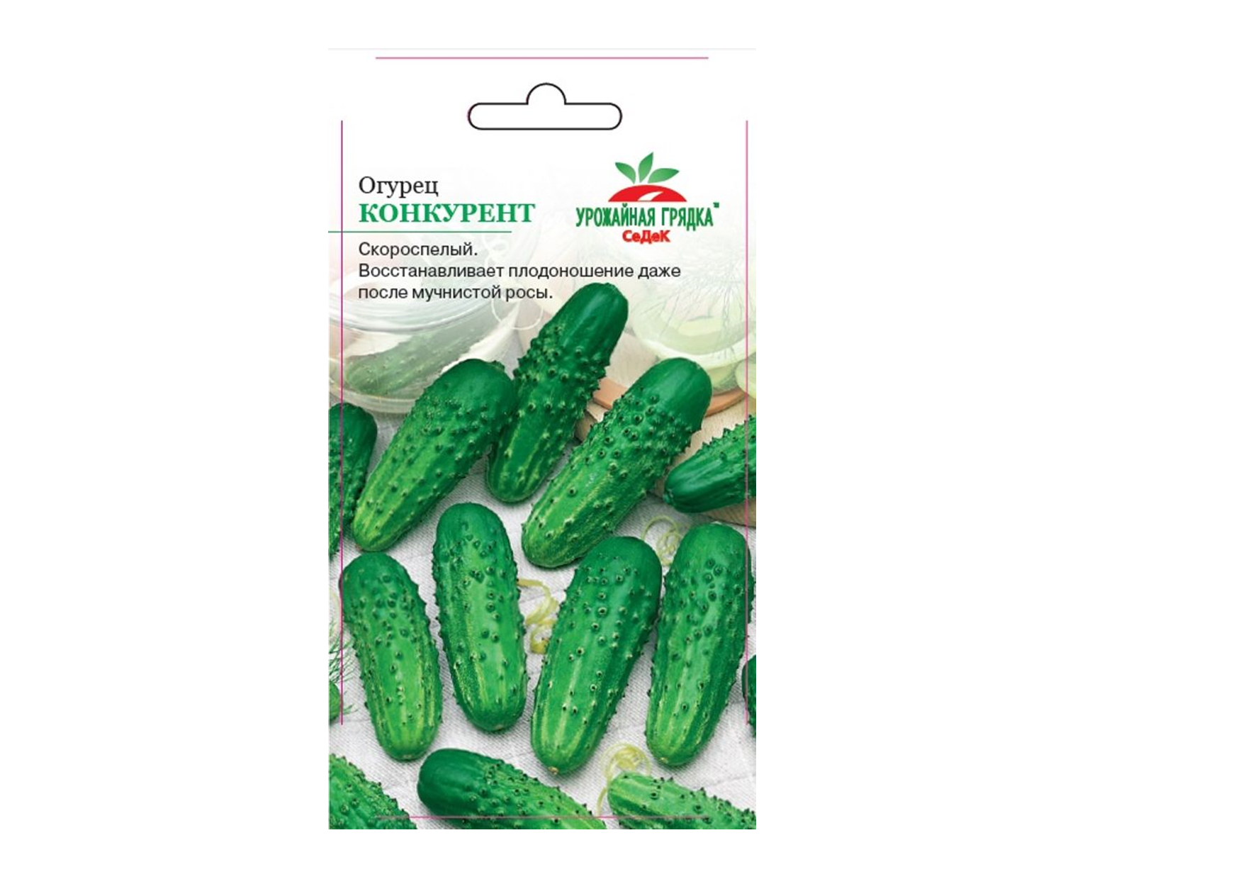 Огурец "Конкурент" Огурец "Конкурент"