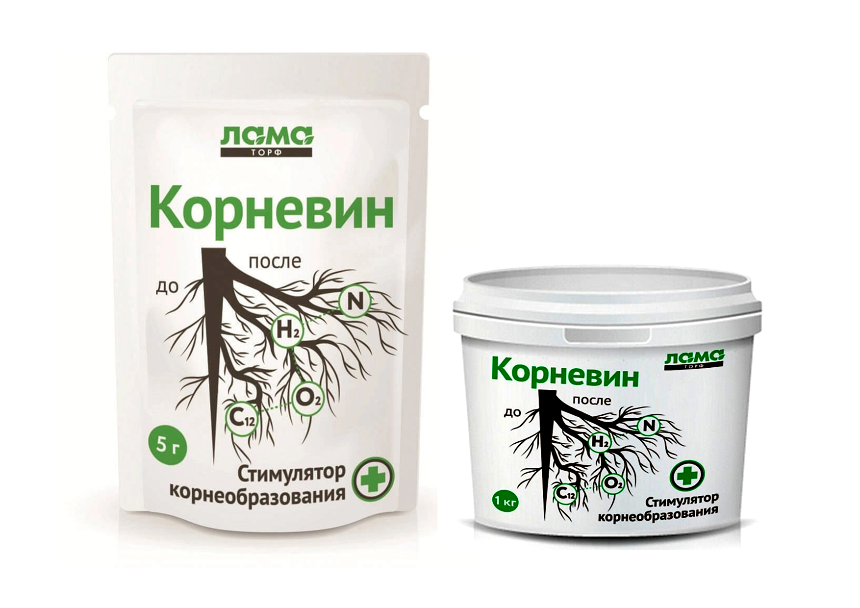 Корневин Корневин