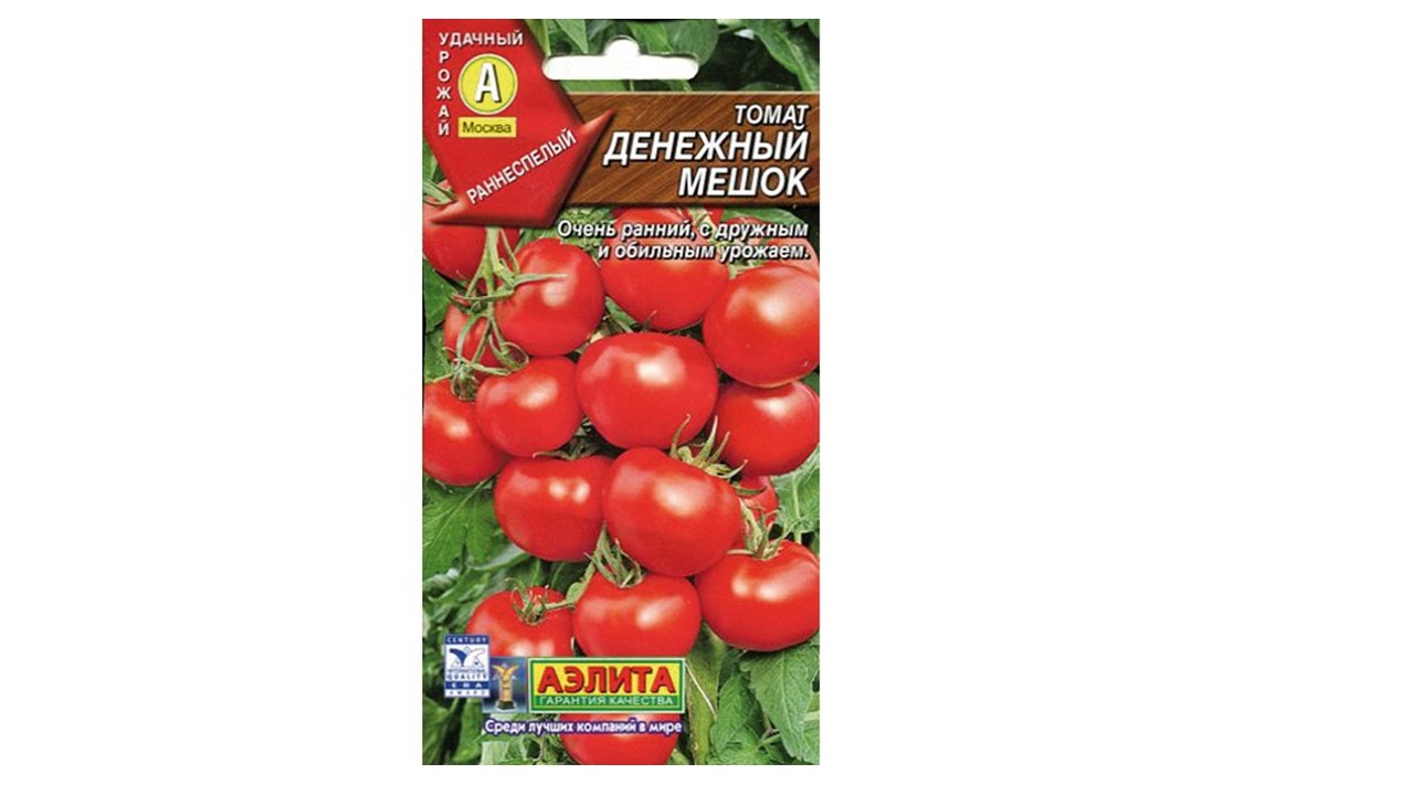 Томат "Денежный мешок" Томат "Денежный мешок"