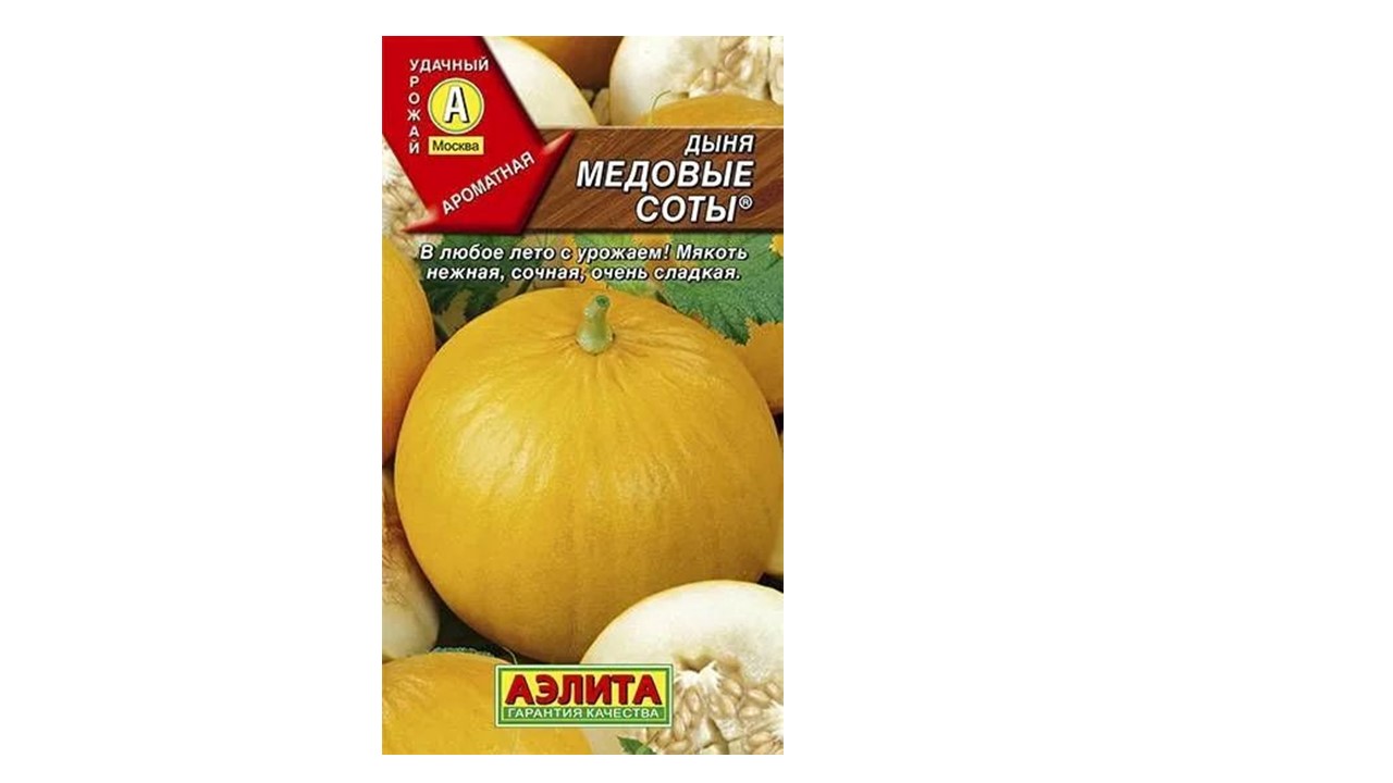 Дыня "Медовые соты" Дыня "Медовые соты"