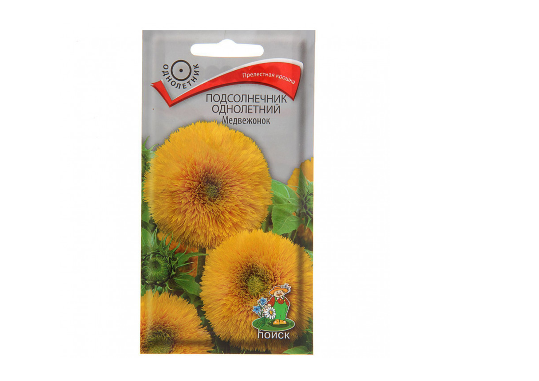 Подсолнечник однолетний "Медвежонок" Подсолнечник однолетний "Медвежонок"
