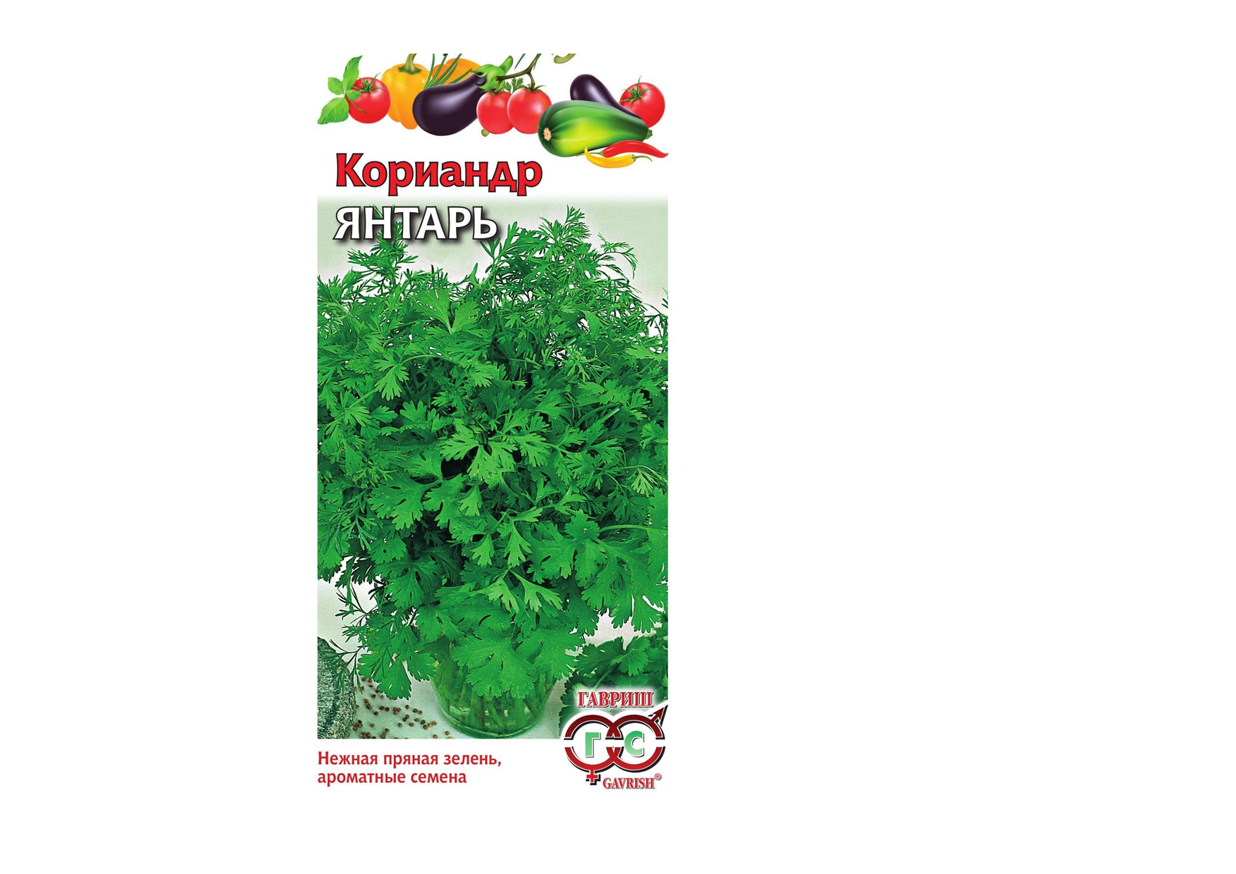 Кориандр "Янтарь" Кориандр "Янтарь"