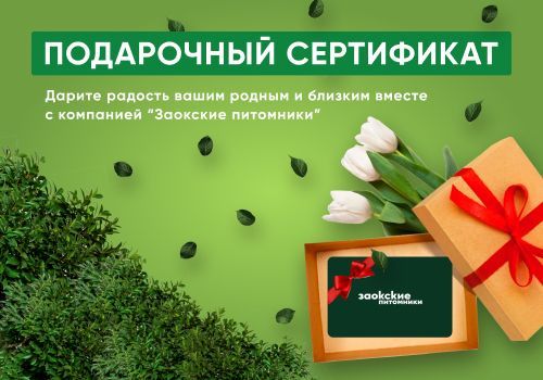 Подарочный сертификат компании «Заокские питомники» Подарочный сертификат компании «Заокские питомники»