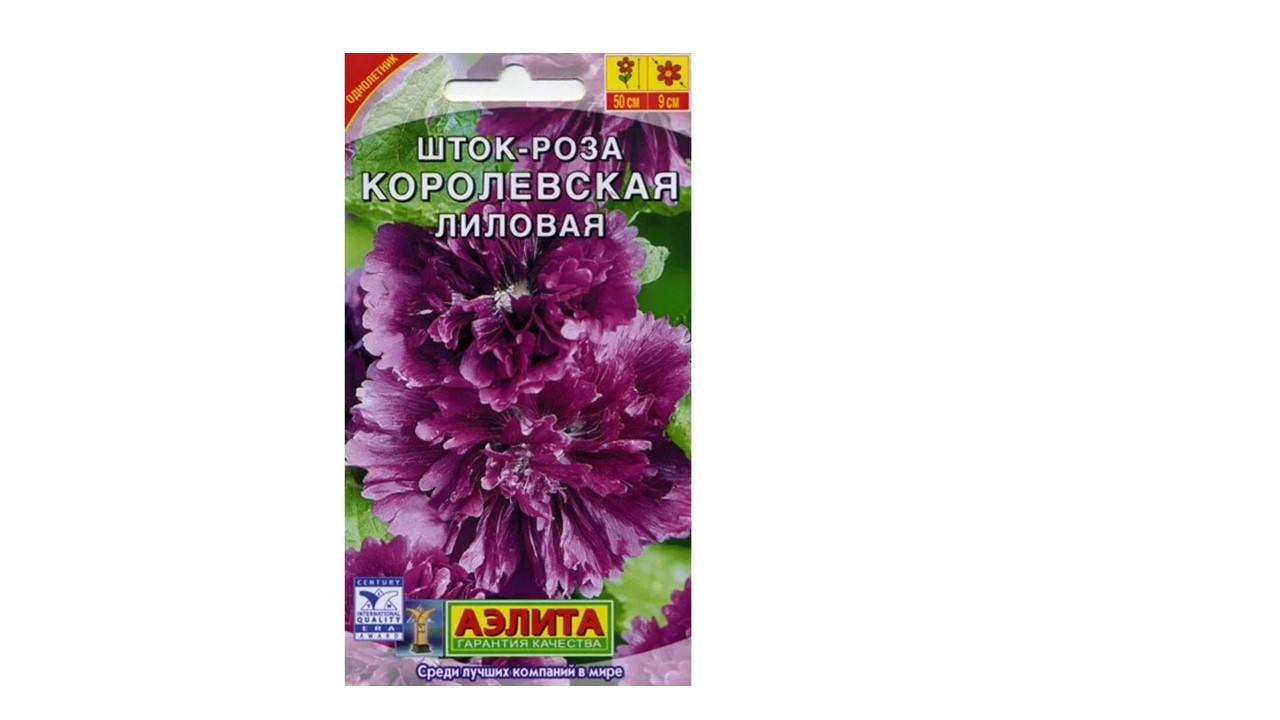 Шток-роза Королевская лиловая Шток-роза Королевская лиловая