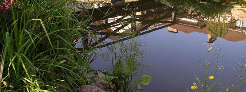 фото 2. Искусственные водоемы фото 2. Искусственные водоемы