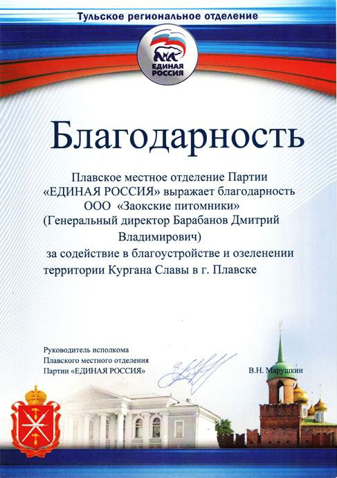 Плавск Благодарность от Единой России