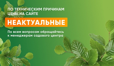 тех работы