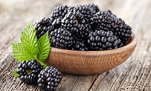 Ежевика в сортах