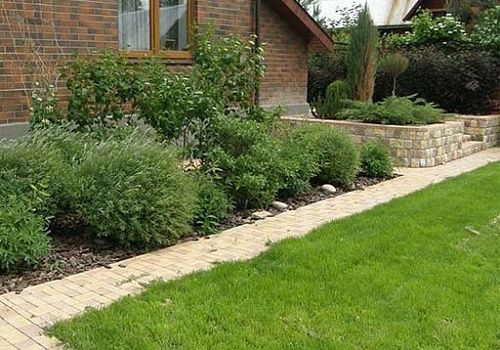 Приживаемость растений Приживаемость растений