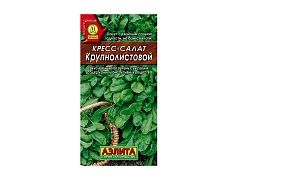 Кресс-салат "Крупнолистовой"