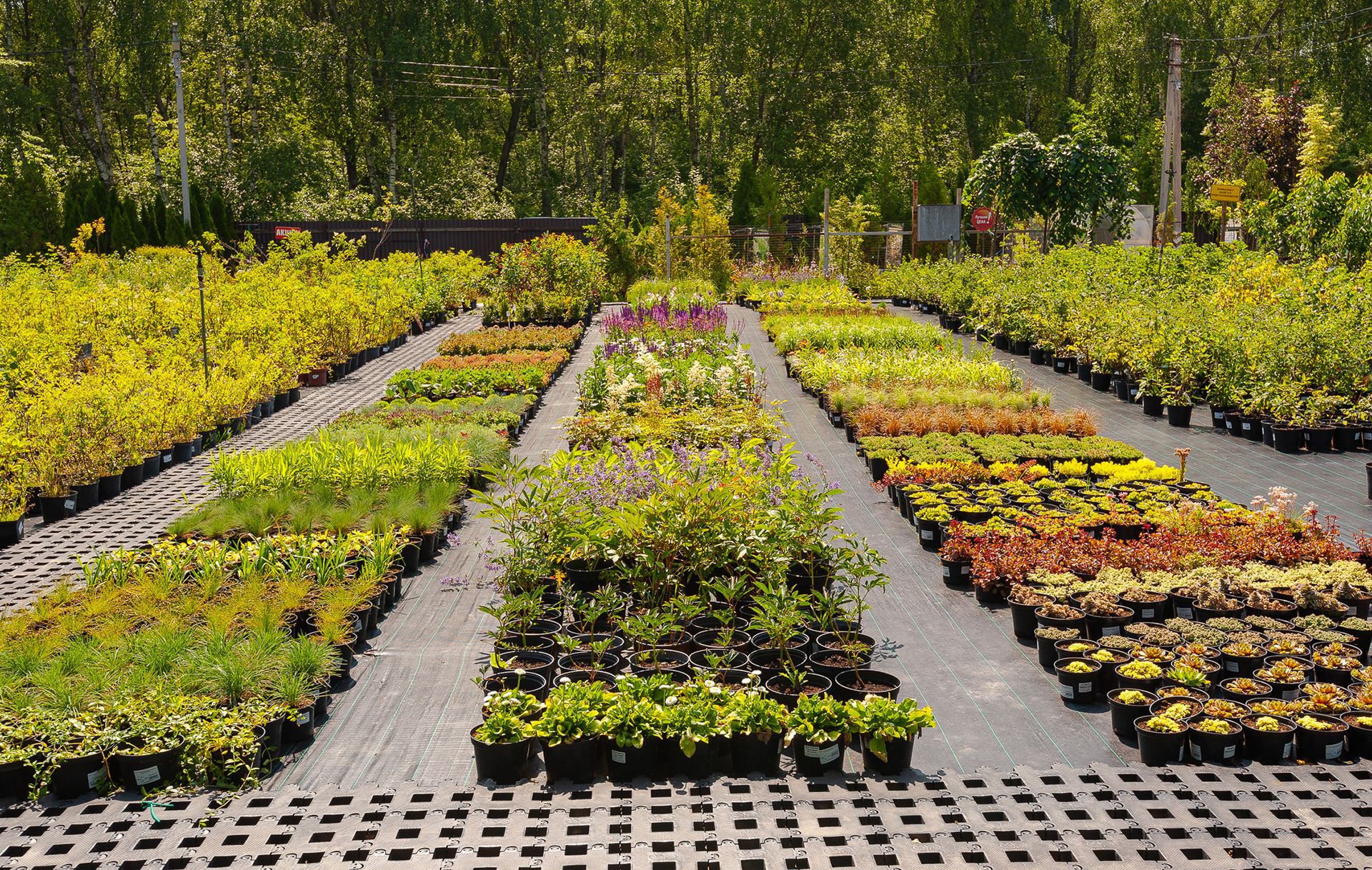 Слайд 3 Слайд 3