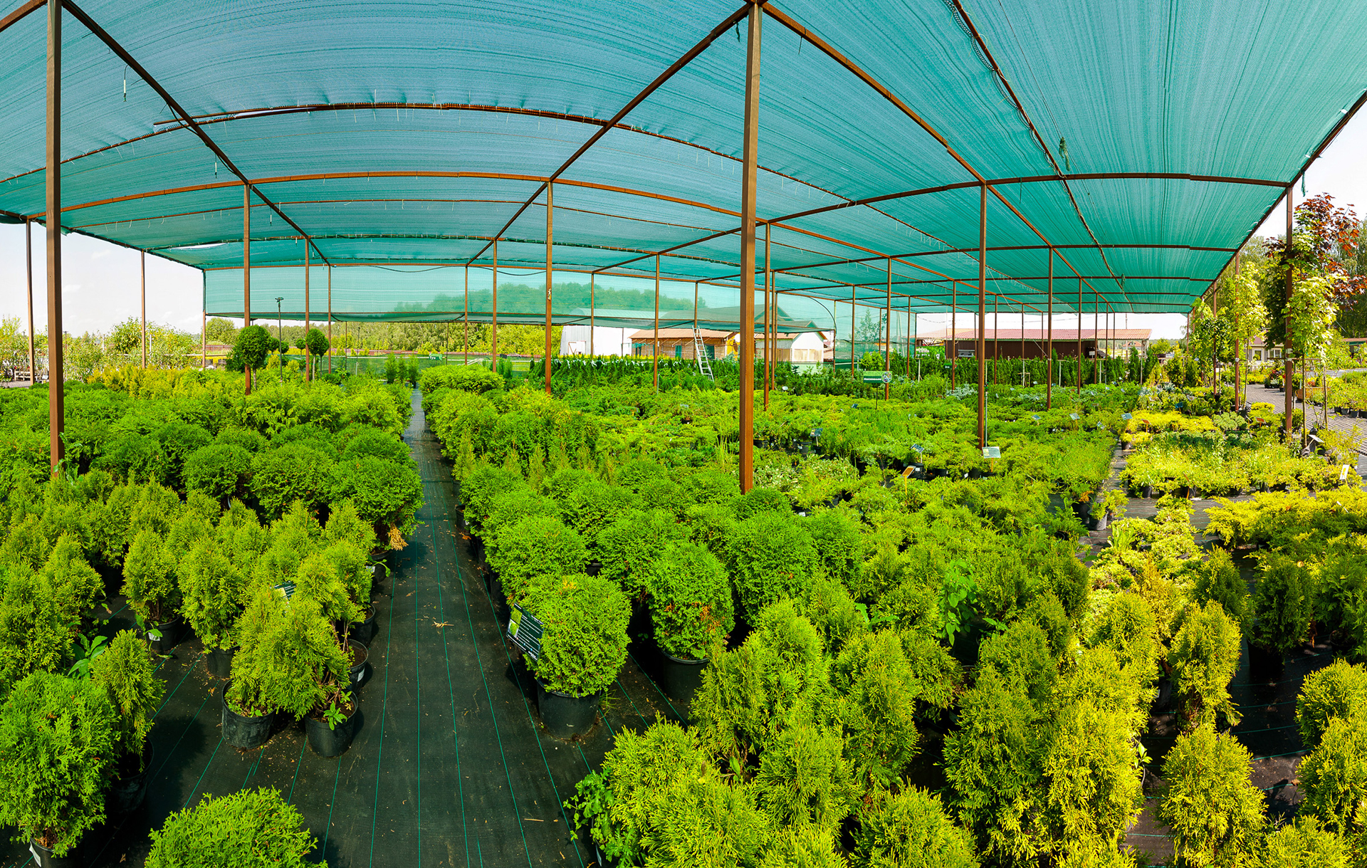 Слайд 8 Слайд 8