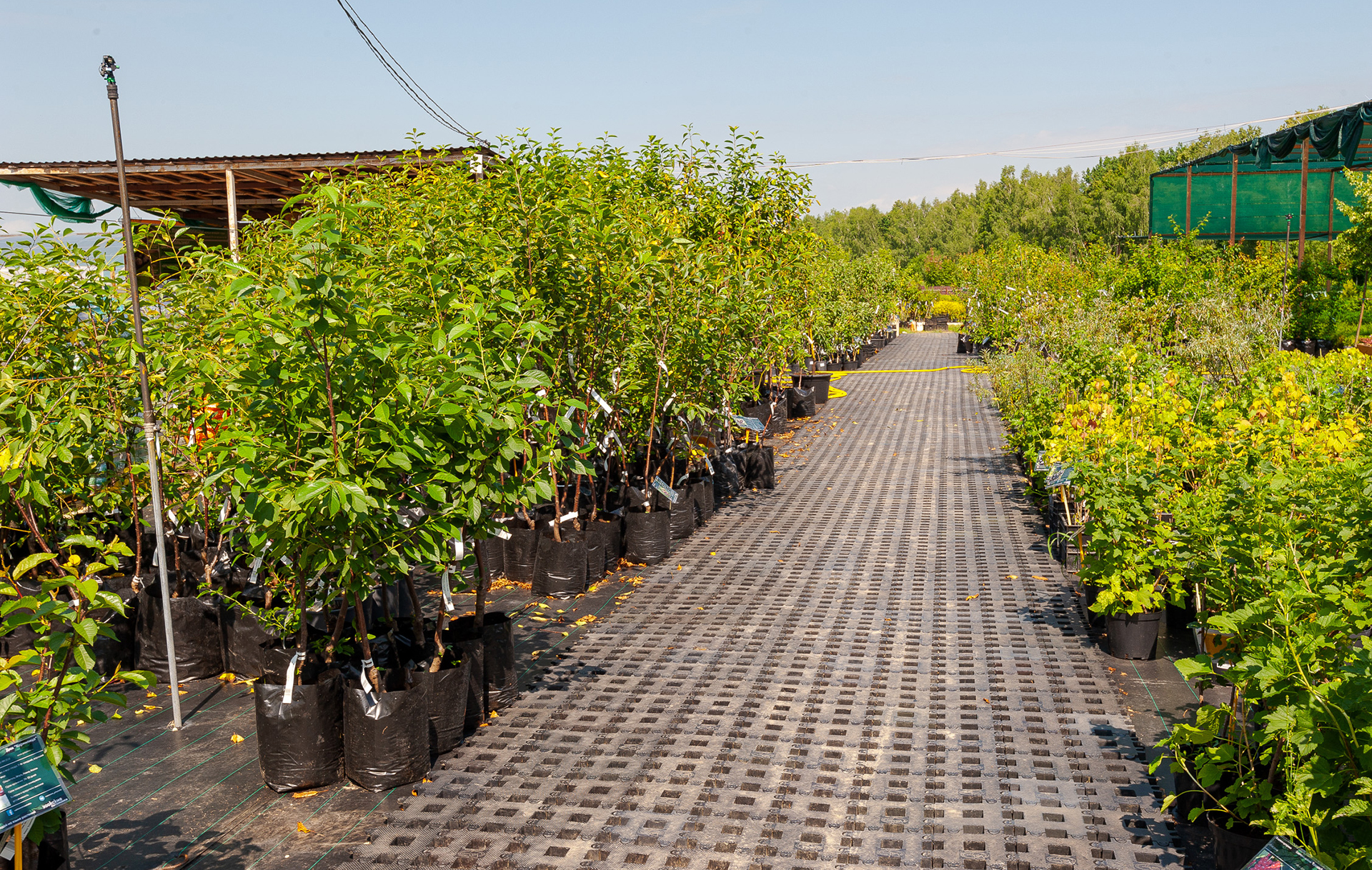 Слайд 6 Слайд 6