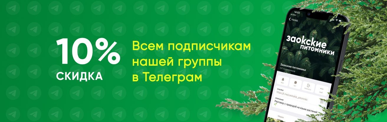 Скидка подписчикам телеграмм