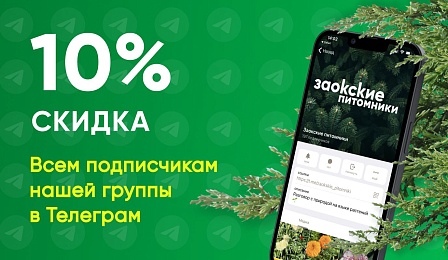 Скидка подписчикам телеграмм